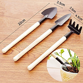 Bộ Dụng Cụ Làm Vườn Mini 3 Món