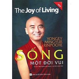 Sách - Sống Một Đời Vui - Chính Thông Book