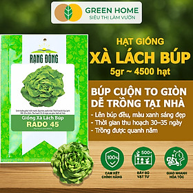 Hạt Giống Xà Lách Búp Greenhome, Gói 5gr~4500 hạt, Dễ Trồng Quanh Năm, Thu Hoạch Nhanh, Năng Suất Cao R20