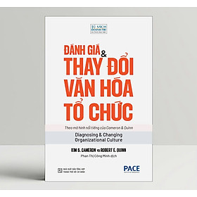 ĐÁNH GIÁ & THAY ĐỔI VĂN HOÁ TỔ CHỨC – Kim S. Cameron và Robert E. Quinn – Phan Thị Công Minh dịch – PACE Books – NXB Tổng Hợp 