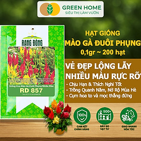 Hạt Giống Hoa Mào Gà Đuôi Phụng Nhiều Màu GreenHome, Gói 0,1g~200 hạt, Dễ Trồng Quanh Năm H18