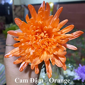 Màu Nhuộm Hoa Tươi Cắt Cành Công Nghệ Israel The Color Sodium (Chai 1 lít) là chế phẩm sinh học an toàn dùng đổi màu hoa tươi tại nhà và shop hoa