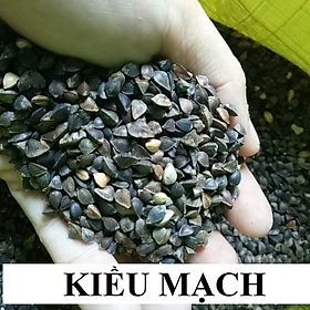 100G BA KHÍA (KIỀU MẠCH) CHO CHIM,VẸT,HAMSTER