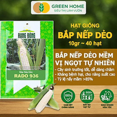 Hạt Giống Bắp Nếp Dẻo, Greenhome, Gói 10GR~40 hạt, Dễ Trồng Quanh Năm, Nảy Mầm Cao, T30