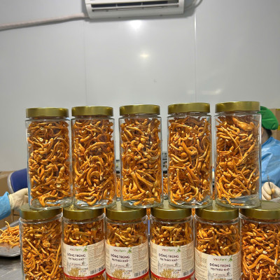 Đông trùng hạ thảo sấy thăng hoa thượng hạng hộp khối lượng 50g thủy tinh bảo vệ sức khỏe, mua 1 tặng hộp 10g, mua 2 tặng 1.