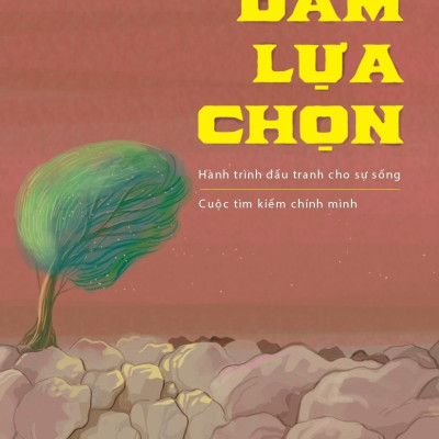 Dám Lựa Chọn