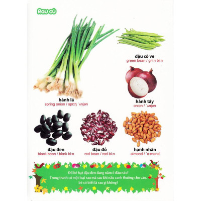 Từ Điển Tranh Về Rau Củ Quả Hoa - BÌA CỨNG (TB) - Bản Quyền