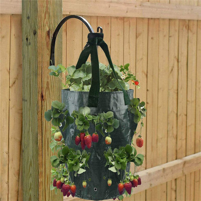 Túi Trồng Cây Bằng Vải 10 Gallon – Trồng Dâu, Cà Chua, Hoa, Rau Sạch – Có Quai, Dễ Di Chuyển