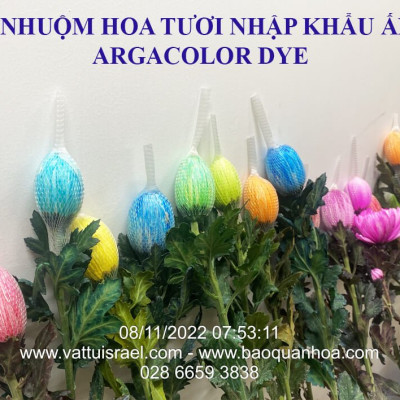 Thuốc Bột Nhuộm Hoa Tươi màu thực phẩm Ấn Độ (Combo 3 hộp tùy màu) giúp đổi màu hoa cắt cành (1 hủ pha 12L nước màu)