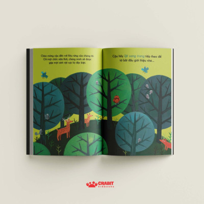 Đây Là Cú Nâu - Bìa Cứng
