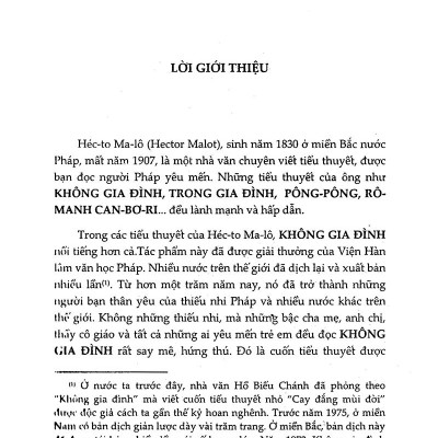 Bộ Sách Tiểu Thuyết Của Hector Malot: Không Gia Đình + Trong Gia Đình (Bộ 2 Cuốn)