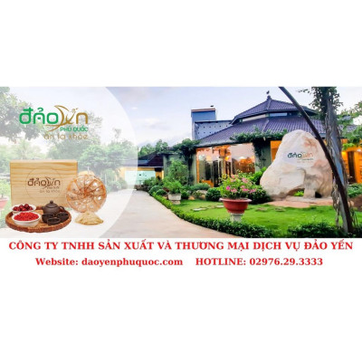 Yến sào Đảo Yến Phú Quốc - Tổ yến Trắng thô nguyên chất/ ít lông - Tăng cường sức đề kháng - Bổ khí dưỡng nhan - Tăng cường sinh lực nam nữ