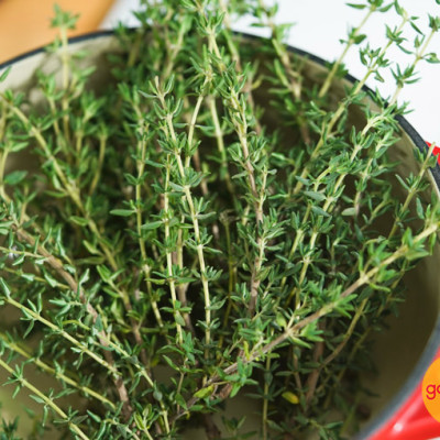 Lá Xạ Hương Vipep Hũ Nhựa 25g - Gia vị Vipep
