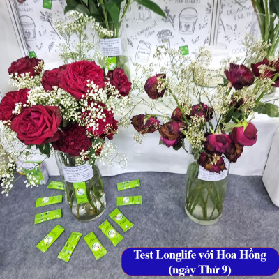 Thuốc Gói Dưỡng Hoa Tươi Lâu Tàn Longlife Nhập Khẩu Israel Gói 5gr dưỡng hoa cắt cành tươi lâu gấp 2 lần, nước trong không mùi