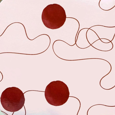 Amazing Transformations