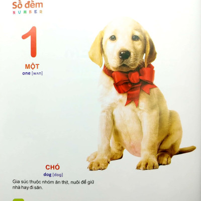 Từ Điển Tranh - Dành Cho Thiếu Nhi: Số Đếm (2022)