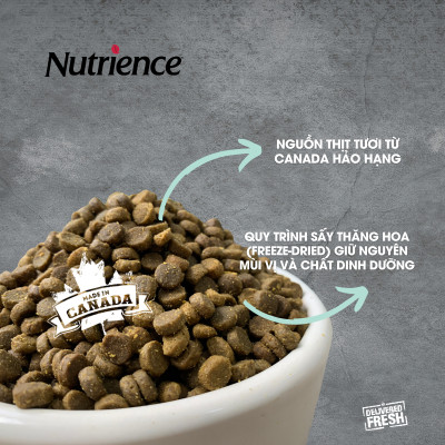 Thức Ăn Cho Mèo Con Nutrience Infusion Bao 2.27kg - Thịt Gà, Dầu Cá Hồi DHA, Rau Củ, Trái Cây Tự Nhiên