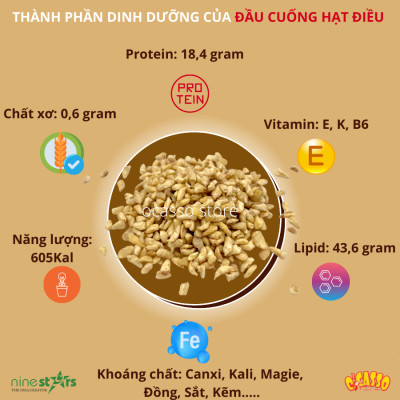 Đầu cuống hạt điều sống O