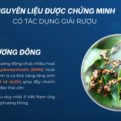 Nước giải rượu, mát gan JOWOW (Hộp 6 chai x 100ml)