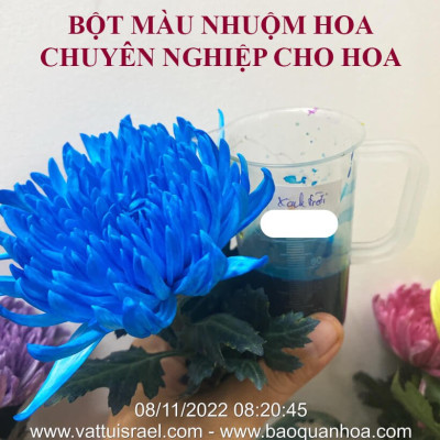Thuốc Bột Nhuộm Hoa Tươi màu thực phẩm Ấn Độ (Combo 3 hộp tùy màu) giúp đổi màu hoa cắt cành (1 hủ pha 12L nước màu)