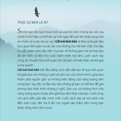Combo 2 Cuốn : Huyền Thuật Và Các Đạo Sĩ Tây Tạng, Cởi Trói Linh Hồn (Tái Bản)