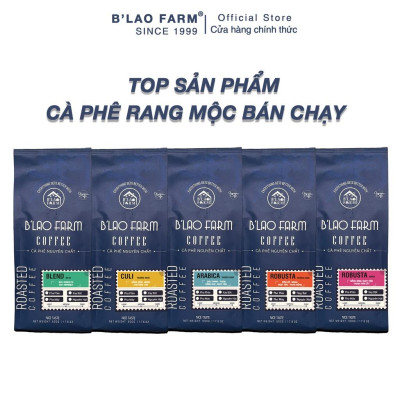Cà phê Arabica cầu đất B