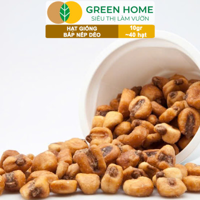 Hạt Giống Bắp Nếp Dẻo, Greenhome, Gói 10GR~40 hạt, Dễ Trồng Quanh Năm, Nảy Mầm Cao, T30