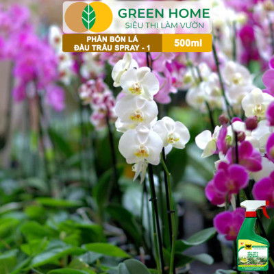 Phân Bón Lá Đầu Trâu Spray-1 Greenhome, Bình Điền, Chai 500ml, Nảy Chồi Ra Lá, Chuyên Lan Và Hoa Kiểng