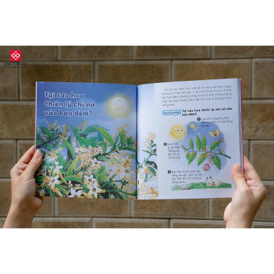 Sách - Wow, Thì Ra Là Thế - Đinh Tị Books