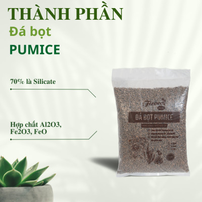 Đá bọt pumice, trộn giá thể trồng hoa hồng, cây kiểng, trồng xương rồng, sen đá, túi 5 lít