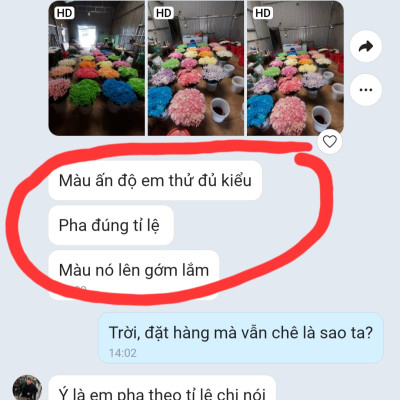 Thuốc Bột Nhuộm Hoa Tươi màu thực phẩm Ấn Độ (Combo 3 hộp tùy màu) giúp đổi màu hoa cắt cành (1 hủ pha 12L nước màu)