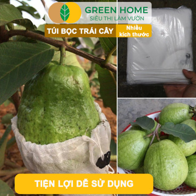 10 Túi Bọc Xoài GreenHome, 22.5x30cm, Có Nút Cài, Độ Bền 3-5 Năm, Nhiều Kích thước