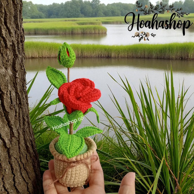 Chậu hoa hồng mini handmade – điểm xinh cho góc làm việc!