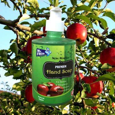 Nước rửa tay khử mùi Mr.Fresh 500ml Hương Táo mỹ