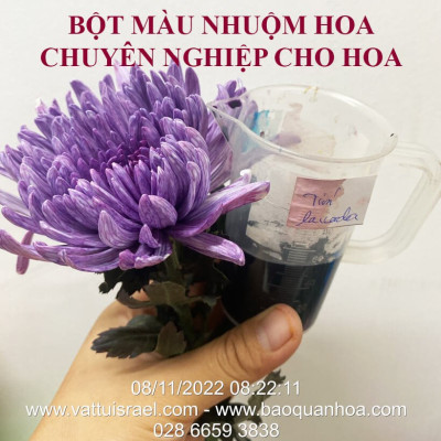 Thuốc Bột Nhuộm Hoa Tươi màu thực phẩm Ấn Độ (Combo 3 hộp tùy màu) giúp đổi màu hoa cắt cành (1 hủ pha 12L nước màu)