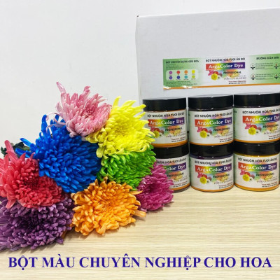 Thuốc Bột Nhuộm Hoa Tươi màu thực phẩm Ấn Độ (Combo 3 hộp tùy màu) giúp đổi màu hoa cắt cành (1 hủ pha 12L nước màu)