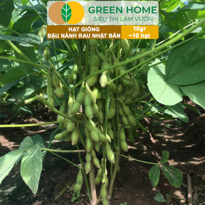 Hạt Giống Đậu Nành Rau Nhật Bản Greenhome, Gói 10GR~10 hạt, Dễ Trồng Quanh Năm, Nảy Mầm Cao T36