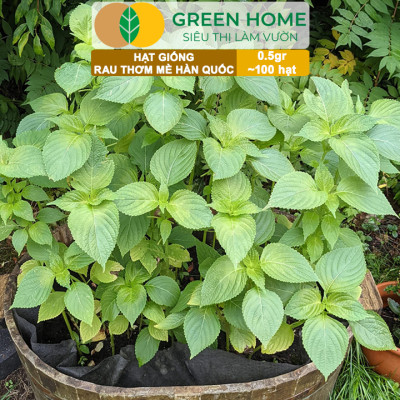 Hạt Giống Rau Thơm Mè Greenhome, Gói 0.5g, Dễ Trồng Quanh Năm, Nảy Mầm Cao, Thu Hoạch Nhanh, Năng Suất Cao R17