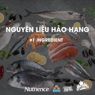 Thức Ăn Hạt Cho Mèo Nutrience Subzero bao 500g - Thịt Gà, Cá Trích, Cá Tuyết, Cá Đại Dương, Rau Củ Và Trái Cây Tự Nhiên