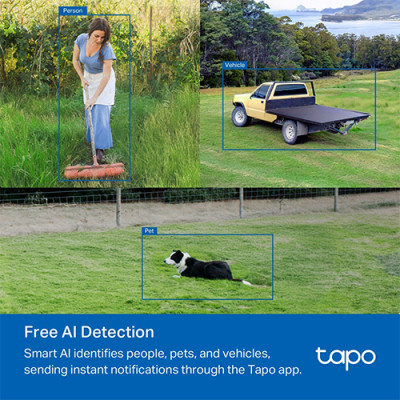 Camera ngoài trời 4G LTE TP-Link Tapo Pan/Tilt Outdoor Home Security Wifi C501GW - Hàng chính hãng