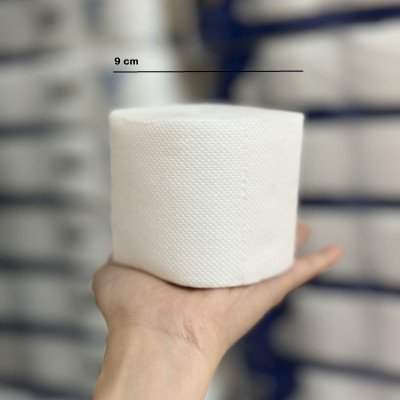 COMBO 100 Cuộn Giấy Vệ Sinh ASI 2 Lớp Giá Rẻ Tiết Kiệm Chất Lượng