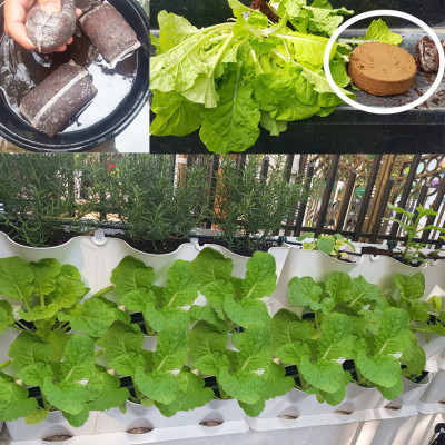 08 Chậu trồng rau thông minh Không thay đất Vertical (màu trắng) nhập khẩu Bồ Đào Nha kèm bộ tưới nhỏ giọt và bón phân Bán tự động (khu vực Không có vòi cấp)