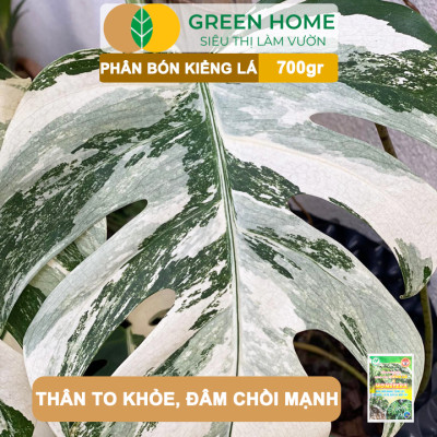 Phân Bón Cây Kiểng Lá Greenhome, Bao 700gr, Trầu Bà Monstera, Cây Nội Thất, Giúp Đâm Chồi Mạnh, Rễ Khoẻ, Lá To