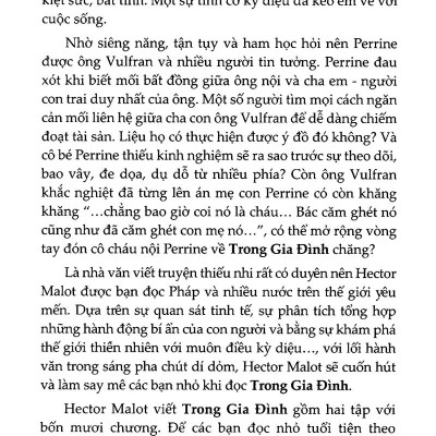 Bộ Sách Tiểu Thuyết Của Hector Malot: Không Gia Đình + Trong Gia Đình (Bộ 2 Cuốn)