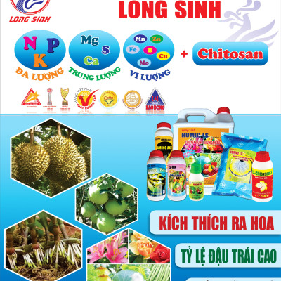 Chitosan2