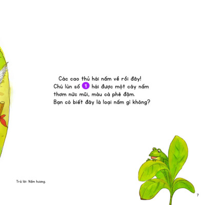 Kính Vạn Hoa Thiên Nhiên: Cuộc Thi Ở Làng Nấm