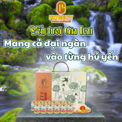 Yến chưng Kids PUTANEST hộp quà tặng cao cấp 12 hũ 70ml tăng đề kháng ăn ngủ ngon bé khỏe mạnh