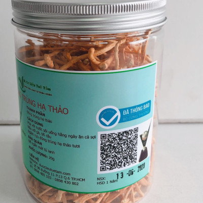 Đông trùng hạ thảo sấy thăng hoa - Hủ 10g