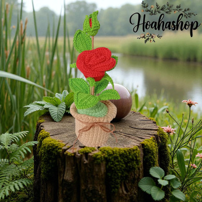 Chậu hoa hồng mini handmade – điểm xinh cho góc làm việc!
