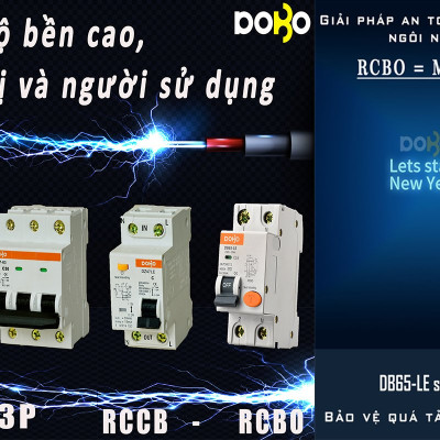 Cầu Dao Chống Giật 2 Pha Dobo Electric Korea (25A - 30mA) - Trắng